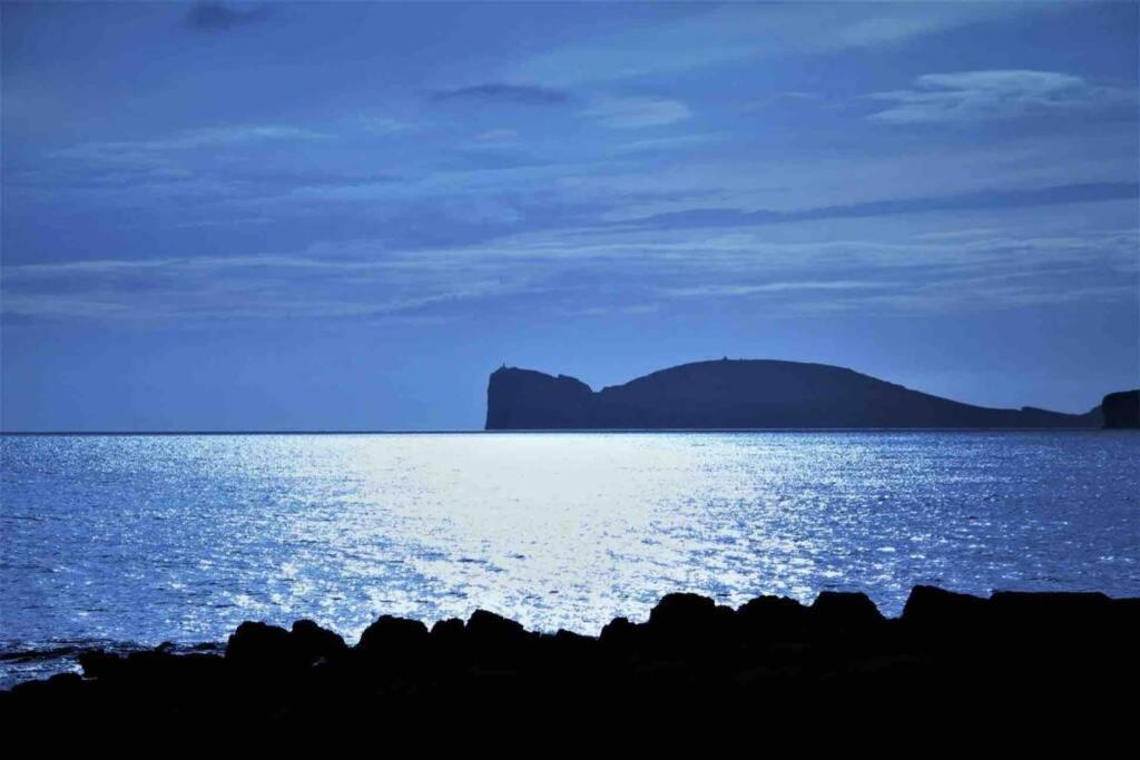 Alghero Sun & Sea - Spiaggia A 50 Metri Екстериор снимка